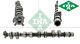 Camshaft Engine 428017810 Ina I